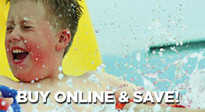 Buy Online