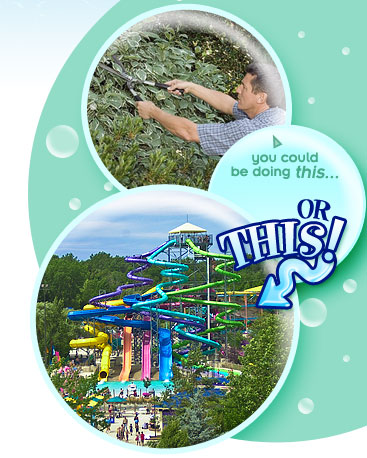 Season Passes