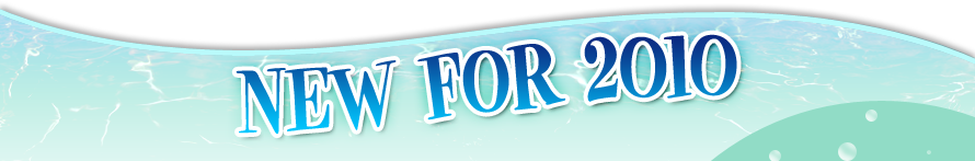 New for 2010